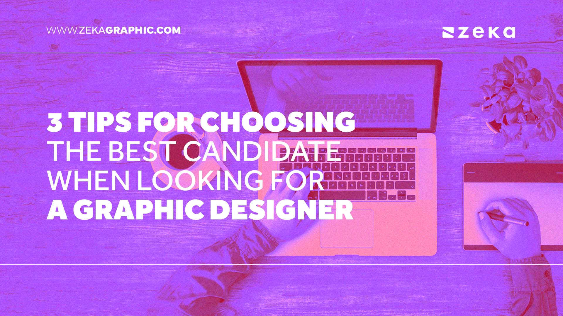 3 Tips for Choosing The Best Candidate When Looking for a Graphic Designer  - Zeka Design